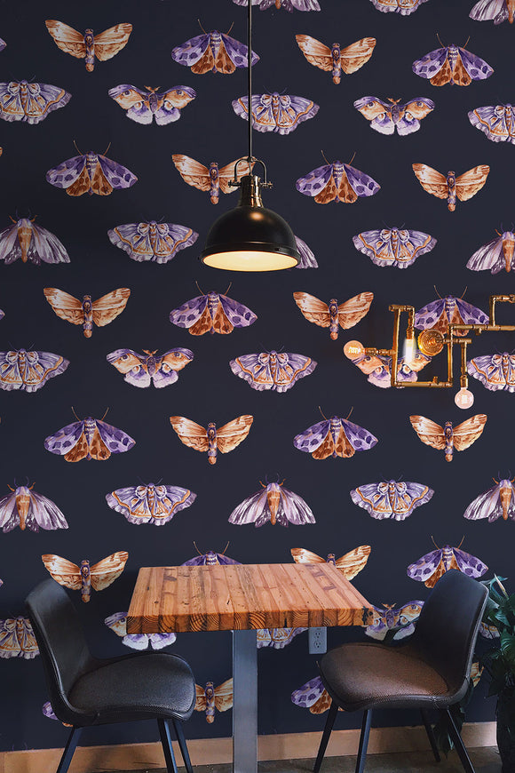Moths on Dark Background Wallpaper