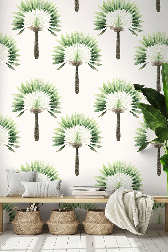 Tropical Palms Wallpaper