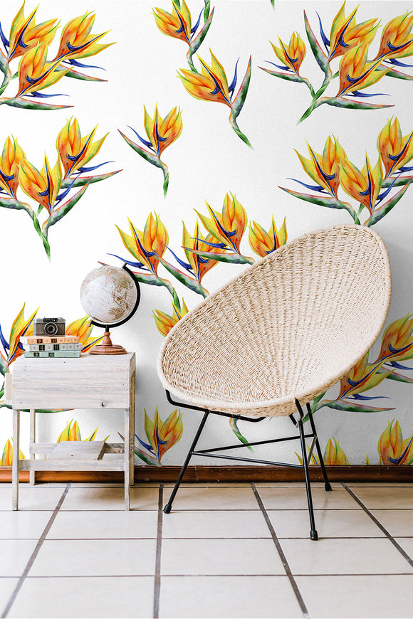 Strelitzia Orange Tropical Flower Wallpaper
