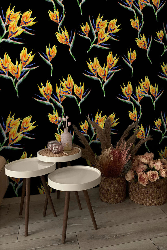 Strelitzia Tropical Flower on Black Wallpaper