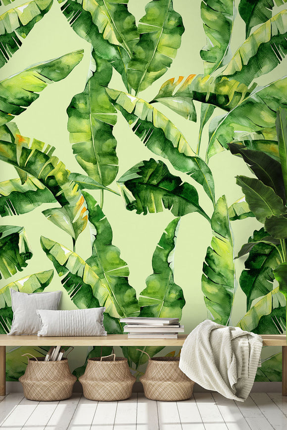 Dense Banana Leaves on Green Wallpaper